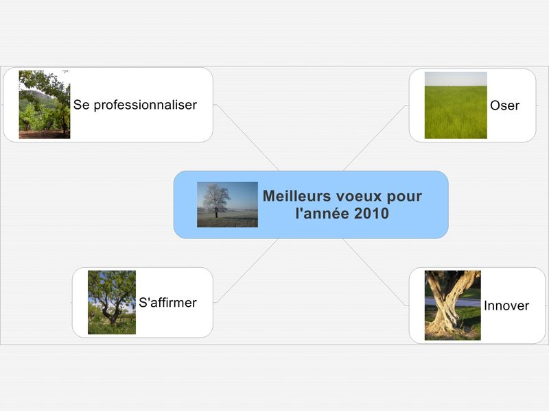 Voeux 2010
